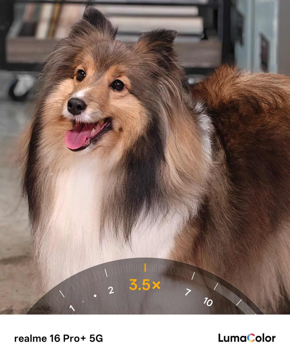 🅞🅟🅨✨ tweet media