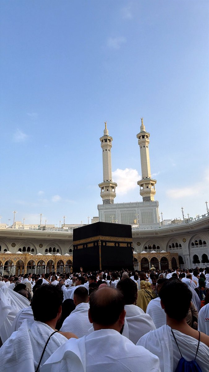 رهـف tweet media