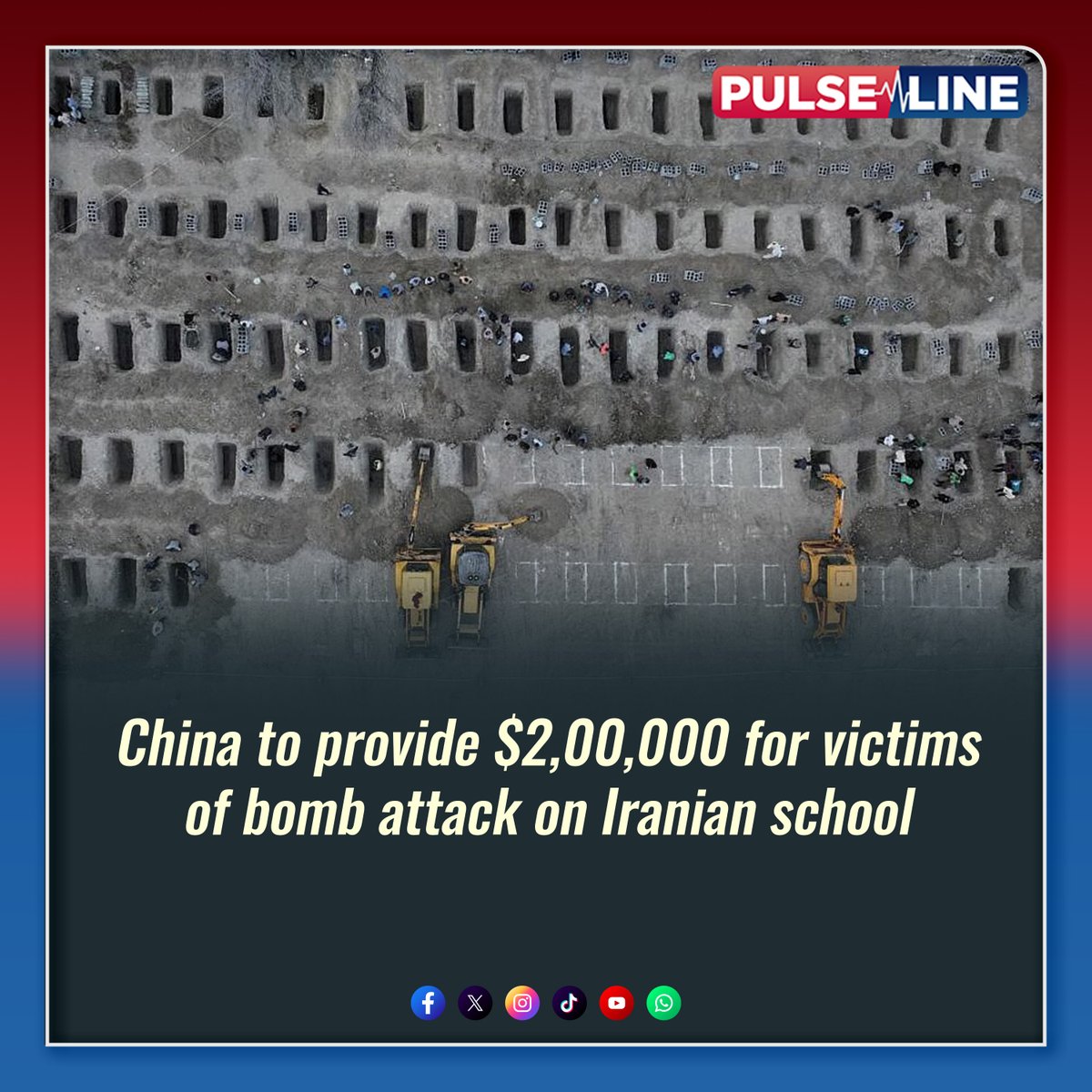 PulseLine Sri Lanka tweet media