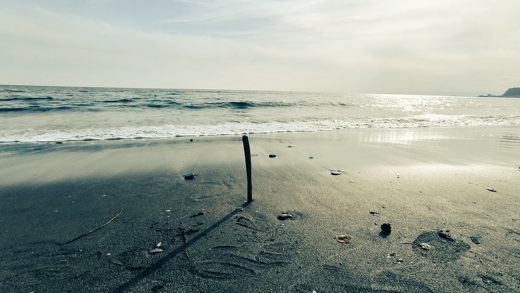 わたなべみつお🇯🇵 tweet media