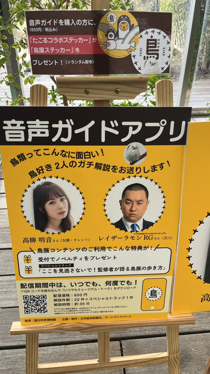 【公式】特別展「鳥」 tweet media