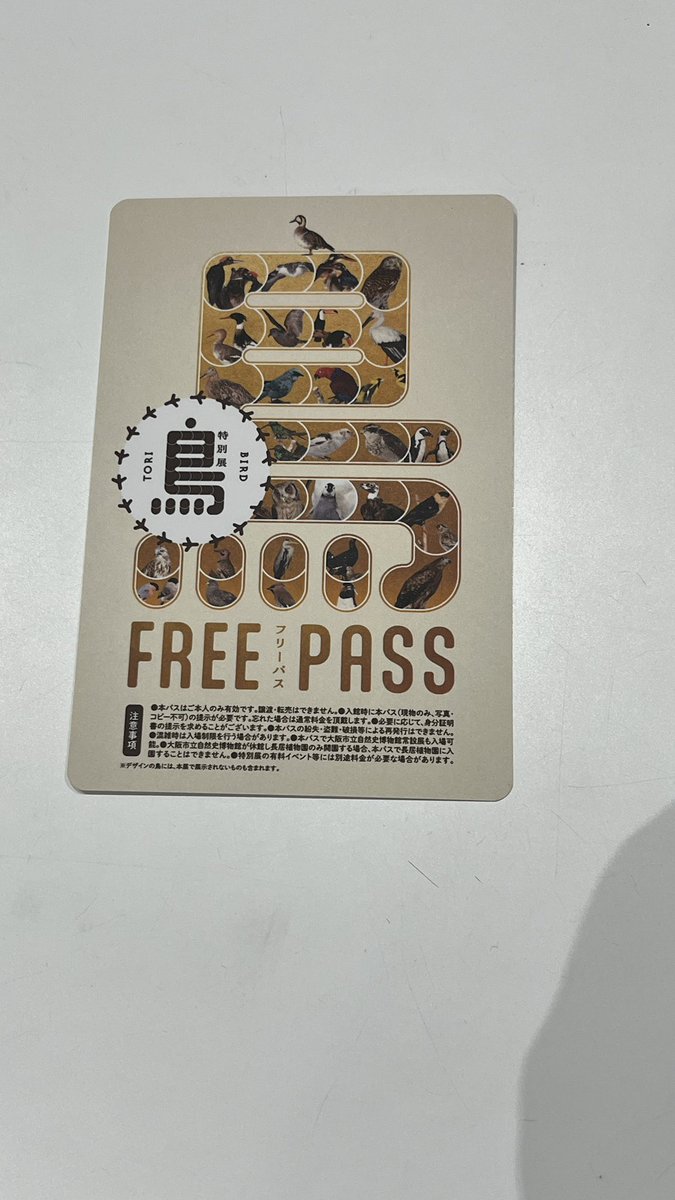 【公式】特別展「鳥」 tweet media