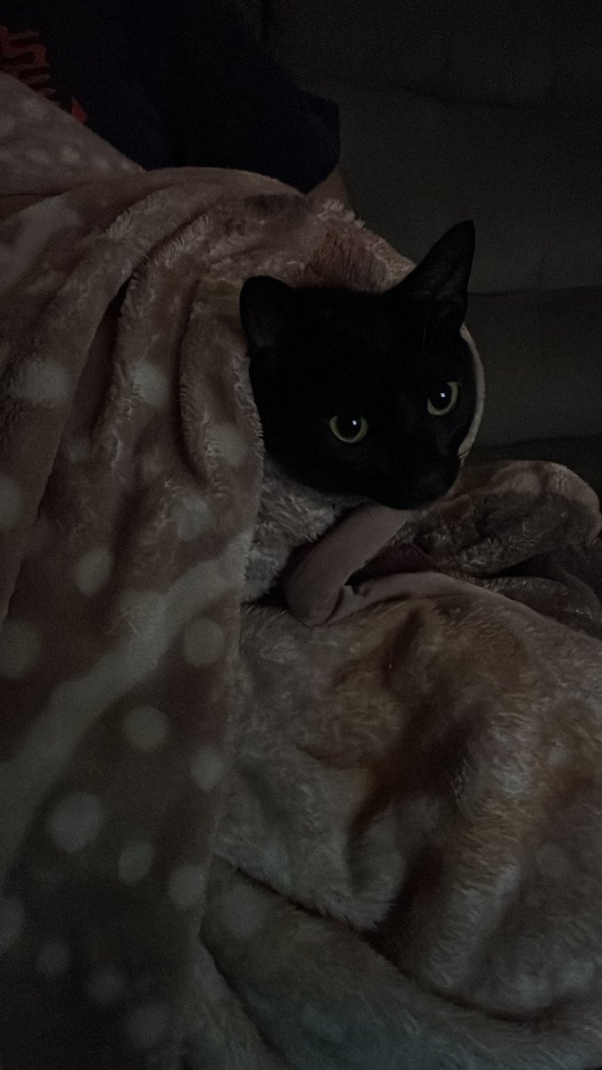 stt (@semtetinha) on Twitter photo 