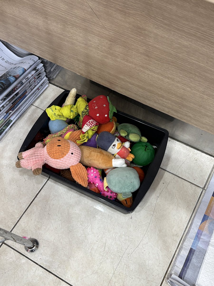 백구십칠⛅️ tweet media