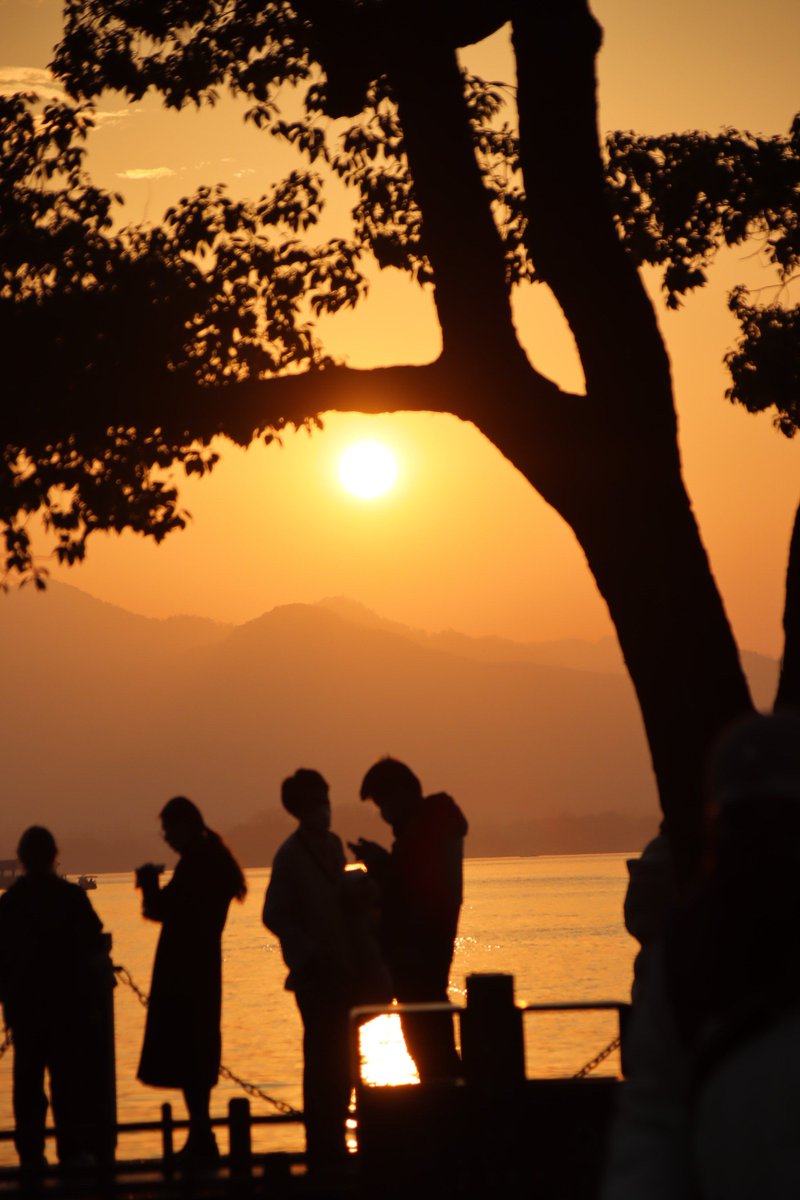 lina satizabal tweet media