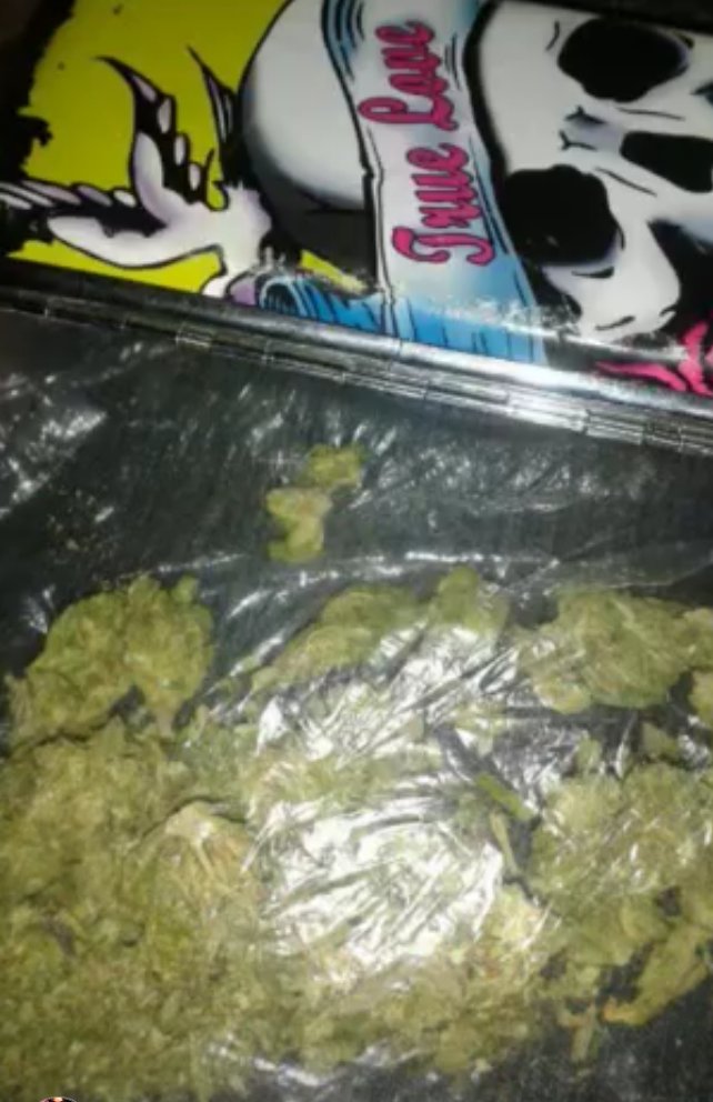 Happy 313 
Don’t forget to leave
Some warmth for MsCold In The “D” tonite cause she’s so Cold In 
The “D” 
Stoners live and
Stoners die.
But in the end
We all get high.
So if in life you don’t 
Succeed,
Fuck 
This shit and
Smoke some weed ghostlove100 
#itssocoldinthed
#happy313