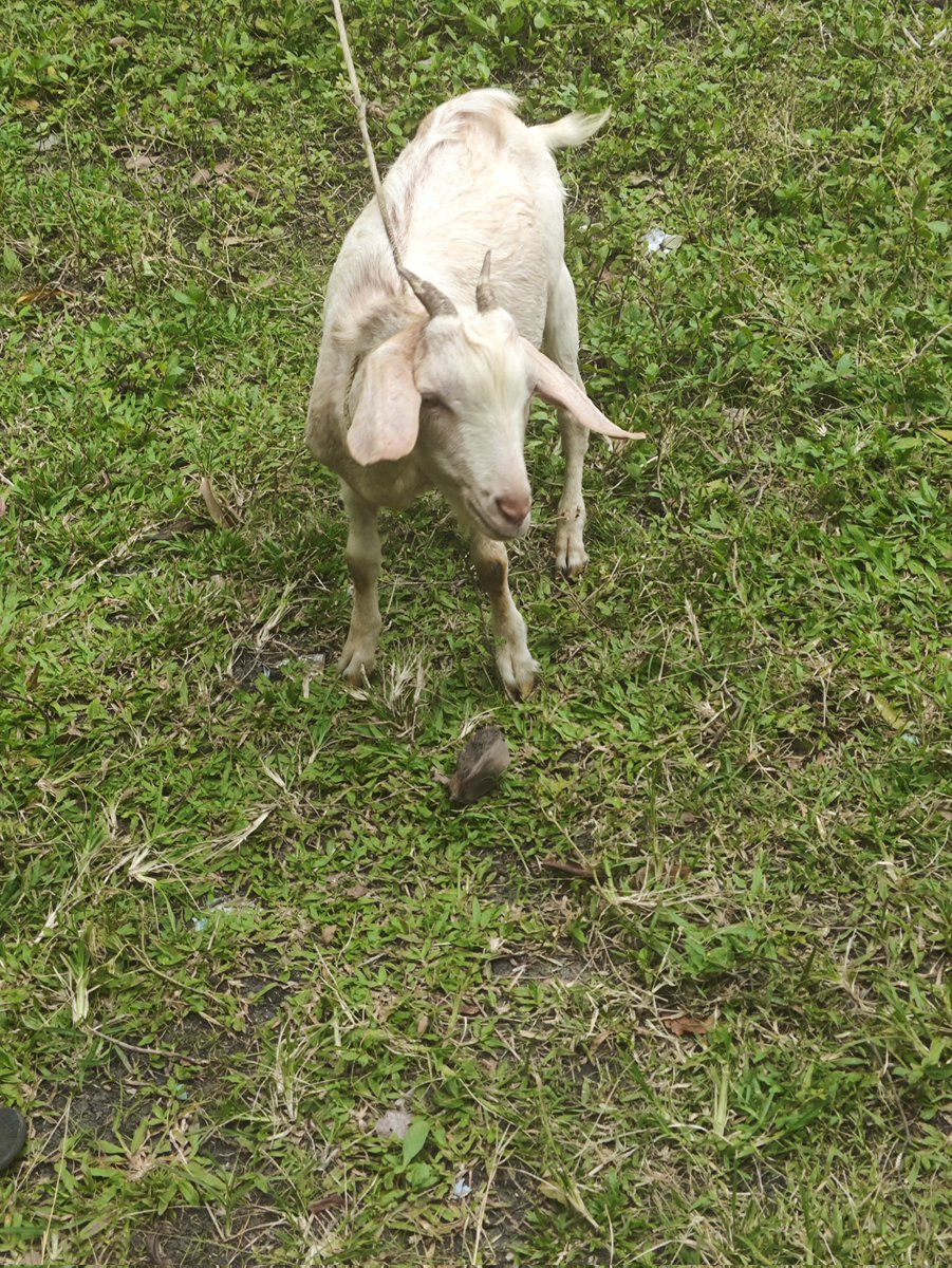 セバ 🔞 tweet media