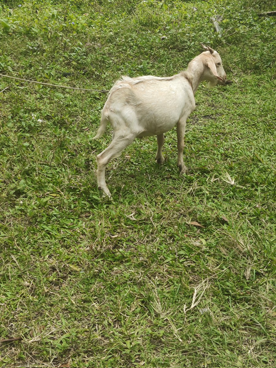 セバ 🔞 tweet media