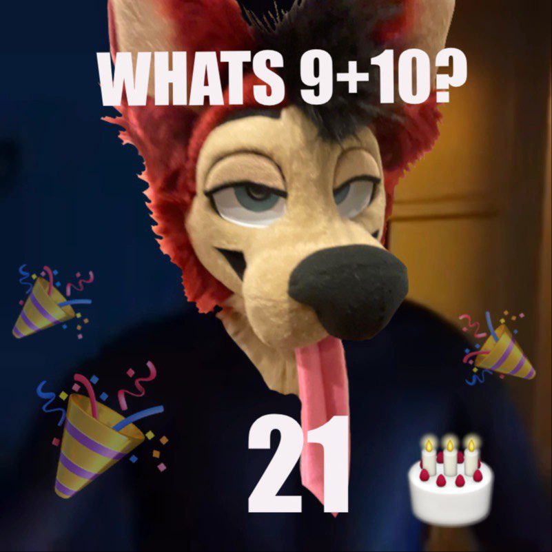 JD 🐶 🔜 bed tweet media