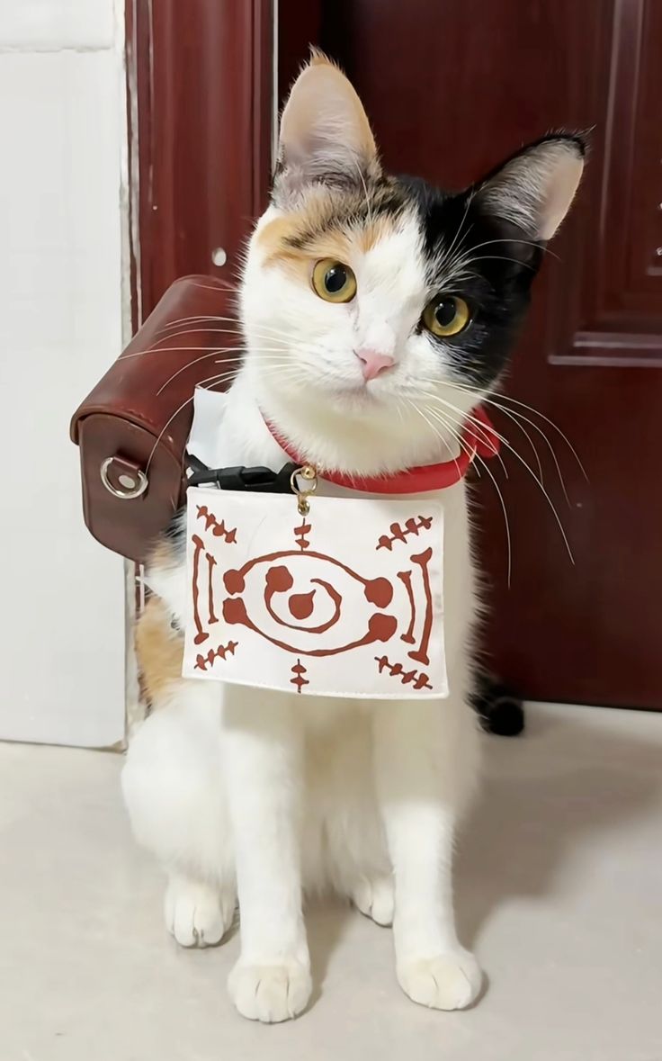 Yuyu, Hadid Dwn. tweet media