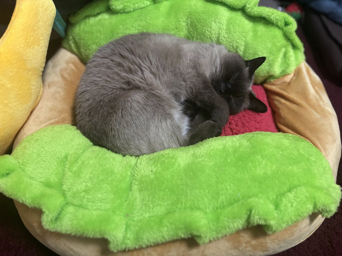 𝑪𝒉𝒍𝒐𝒆 tweet media