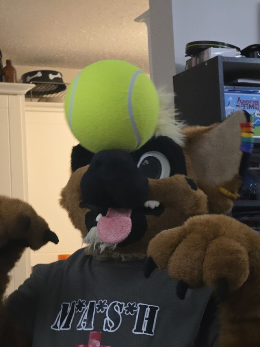 BALL!!!! #Fursuit #Furry