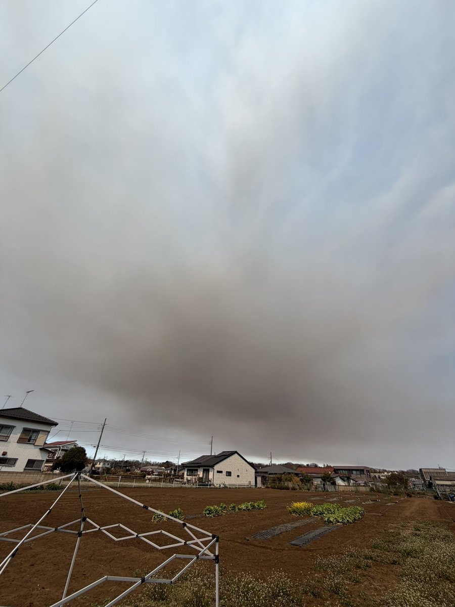 yojige's tweet photo. 昼前の話し。
雲とは明らかに違う、花粉なのか砂塵なのか北の方から流れてきたので慌てて洗濯物を取り込んだよ。 https://t.co/PZ73DDYWjv