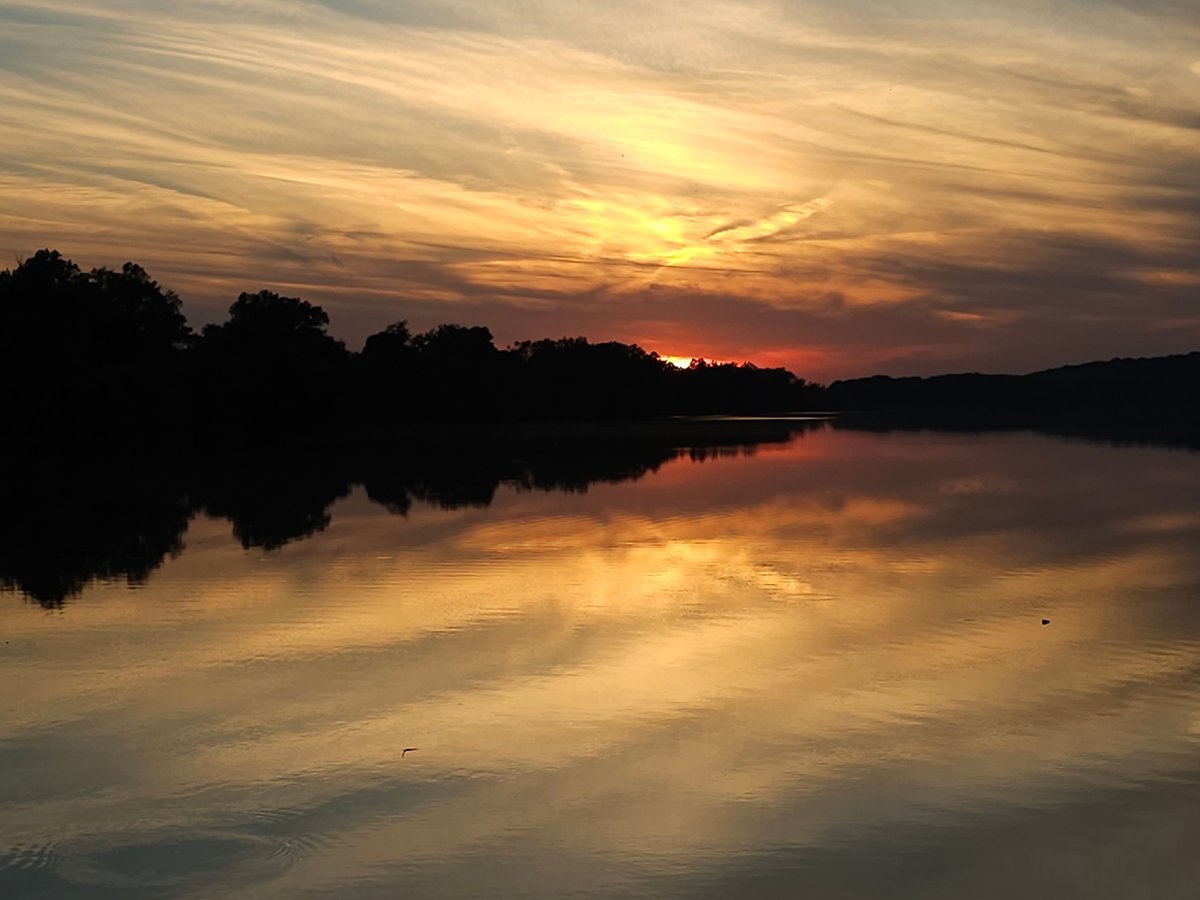 Dr. Elizabeth-Anne Stewart, BCC, PCC tweet media