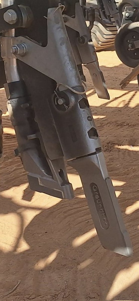 Groundhog tweet media