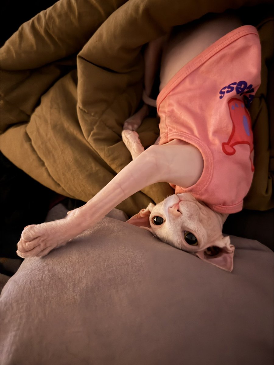 Winterish tweet media