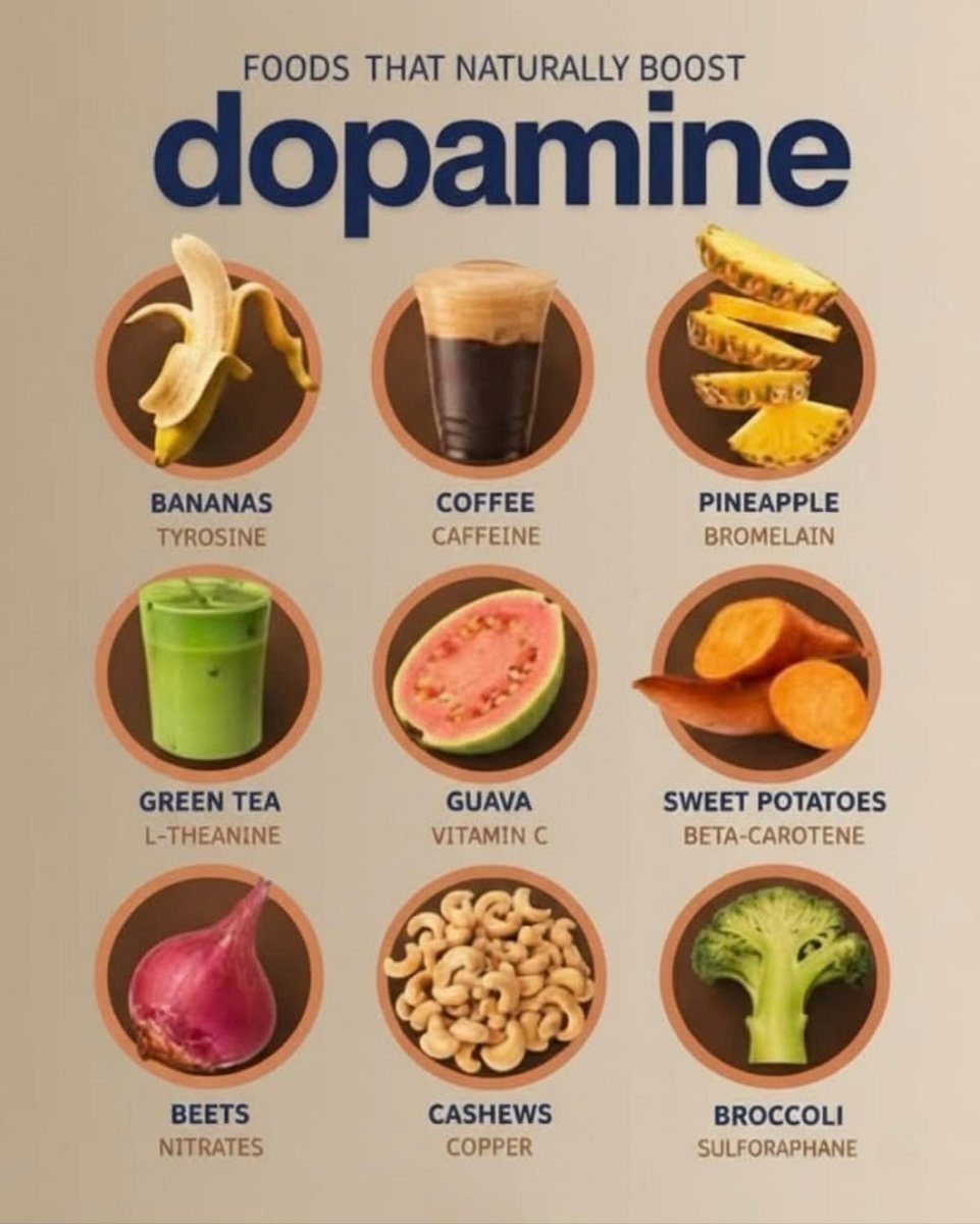 stackipedia's tweet photo. Foods that naturally boost dopamine 🙏

Follow us for daily health tips! https://t.co/ksIgwxf0pv