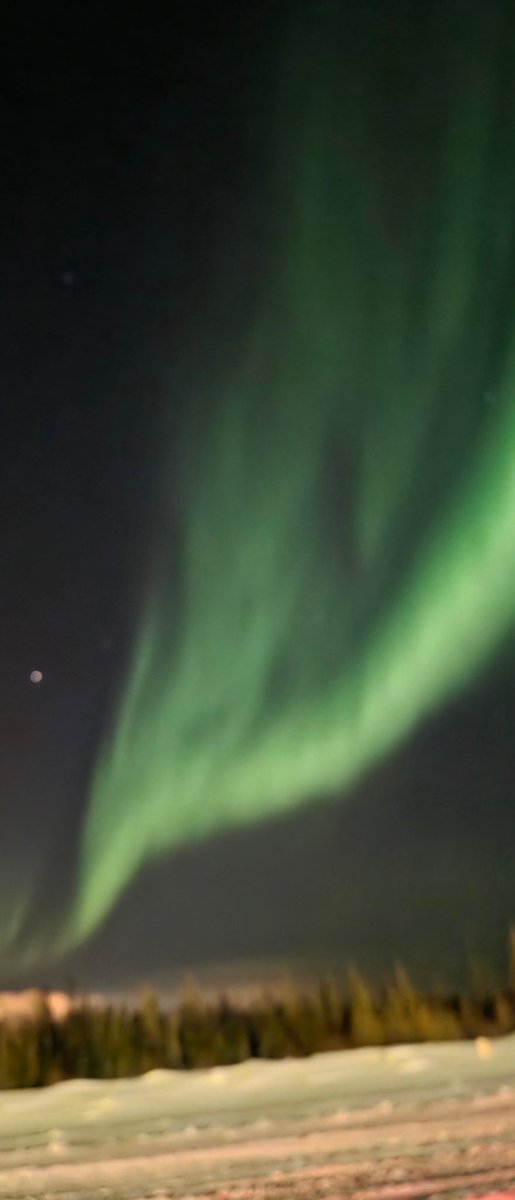 🅲🆄🆃🆃🅴🆁 tweet media