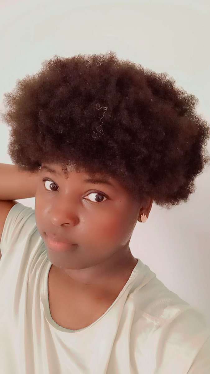 Primrose Trinitypeter tweet media