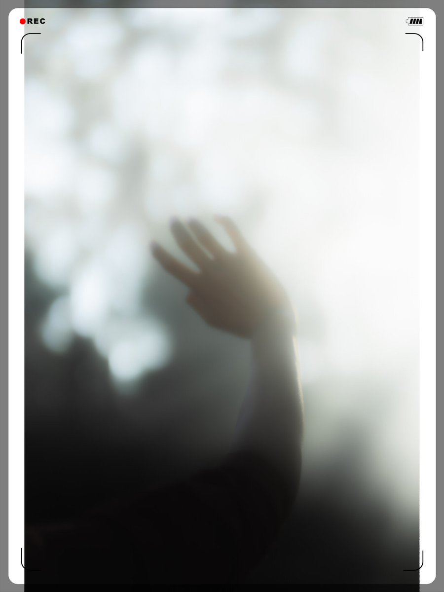 Valeria Oviedo tweet media