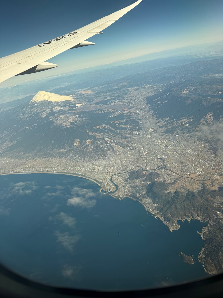 🍚あるぴ💮 tweet media