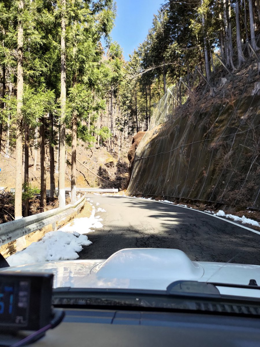 かみさと🐬 tweet media