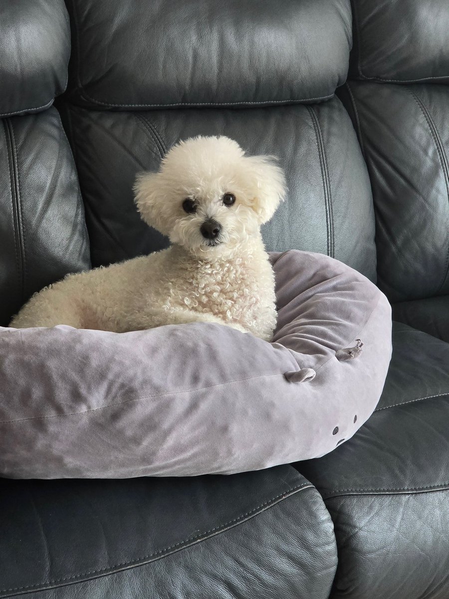 Wow! Crong is prettyyyyy😍