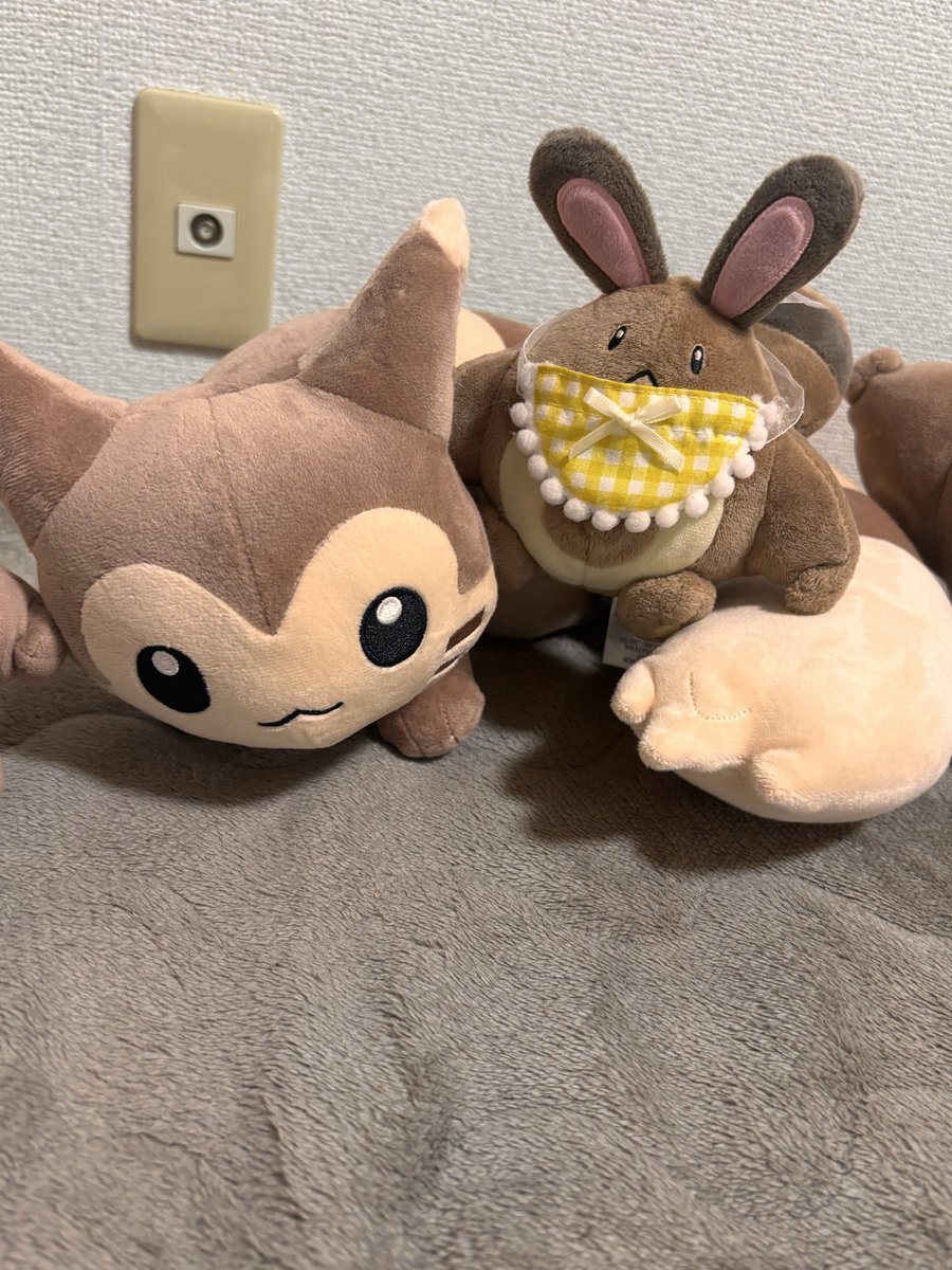 ynyn0728's tweet photo. うちにもしっぽみてのオオタチちゃん来たぞ〜🥳
うちのオタチたちも歓迎してる https://t.co/qC91epxjoL