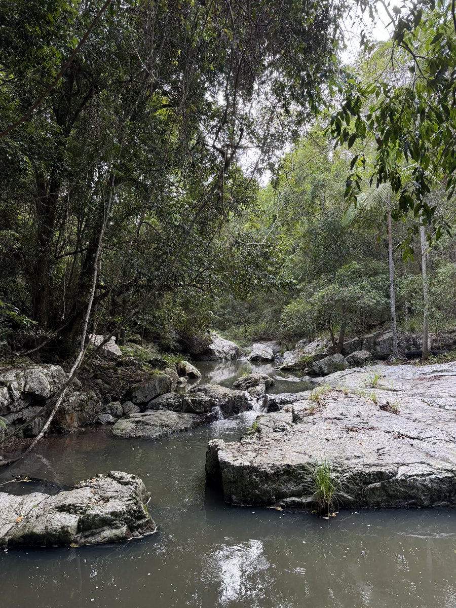 Guy Schweitzer tweet media