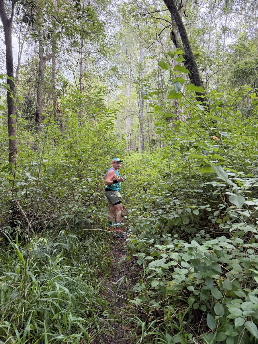 Guy Schweitzer tweet media