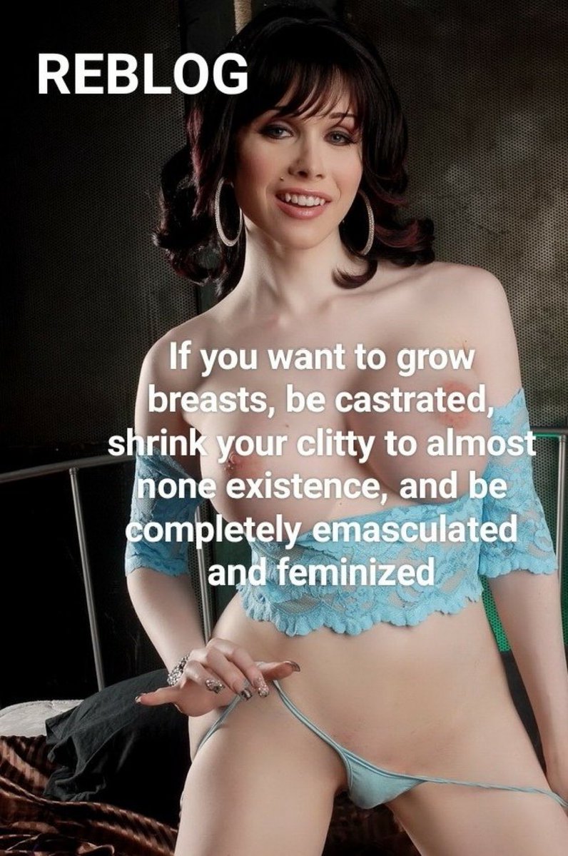 THE KIT STORE 📦™️ tweet media