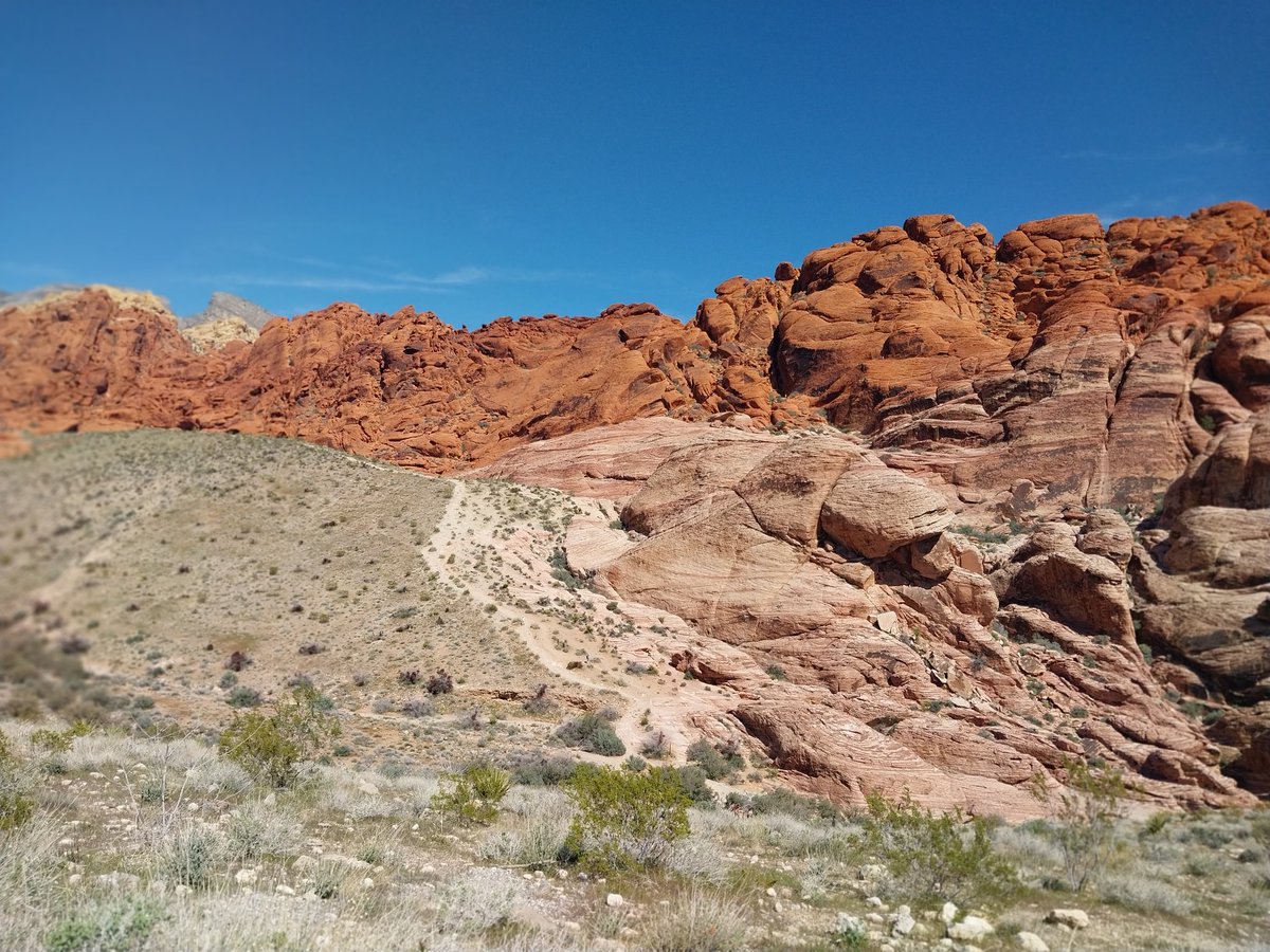 monroemk's tweet image. #RedRock today...