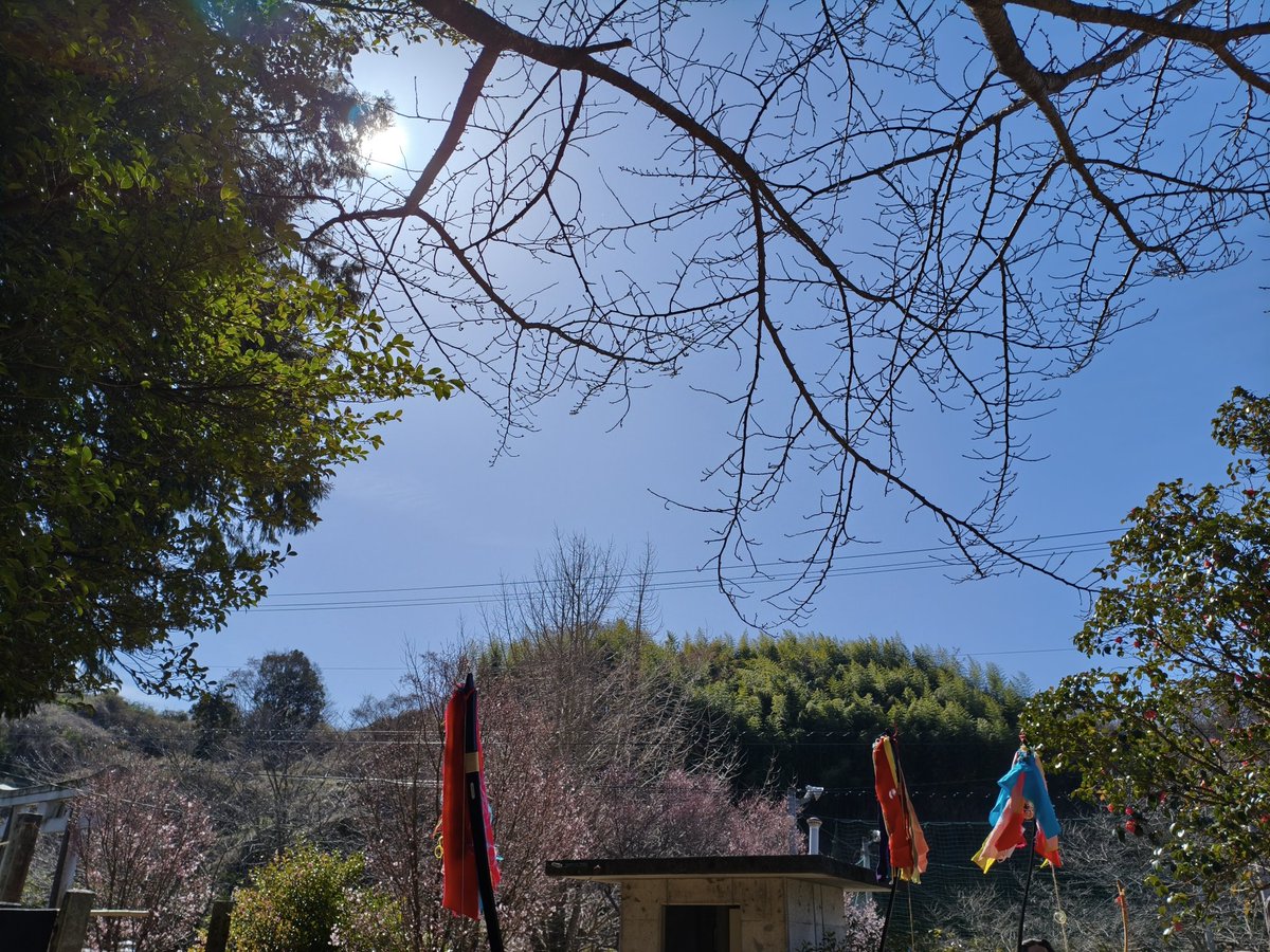 gate1000's tweet photo. お祭り日和やなぁ https://t.co/EDTWushX3z