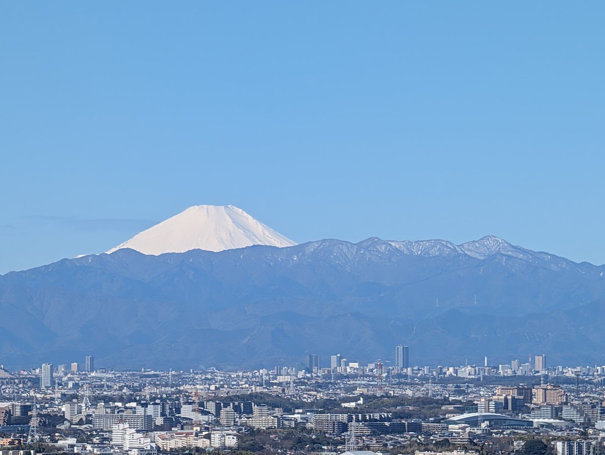 Bill Adler tweet media