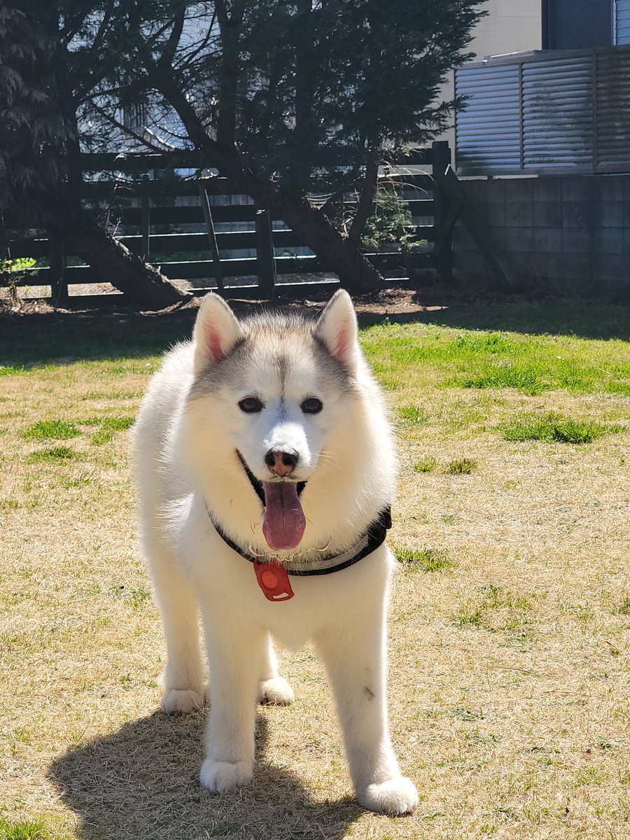 けい子ママ tweet media