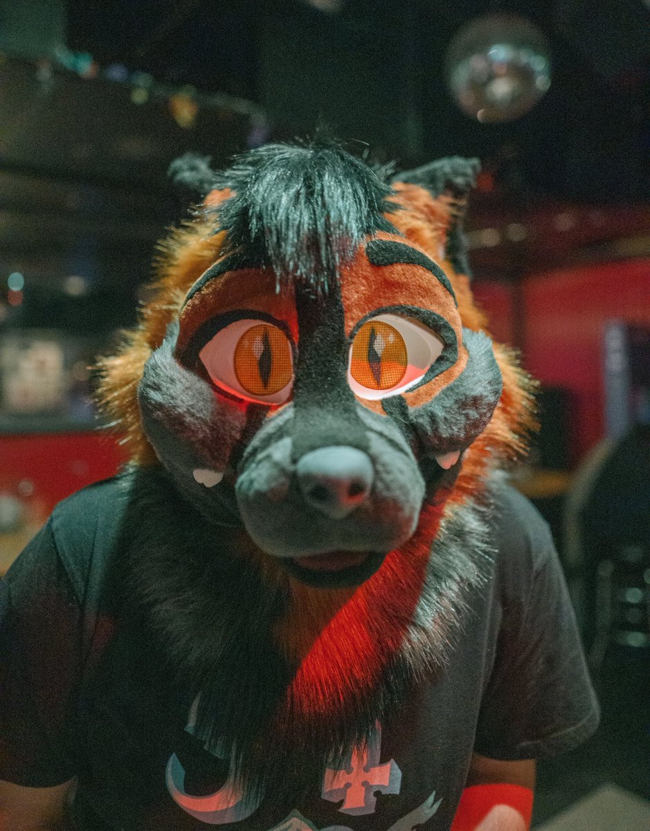 Happy #FursuitFriday everyone!

Got my ball joints for the drift car, going to get them installed tomorrow so I can drive that again, going to a Rammstein themed party tomorrow night and I want to show up in a car that’s not a project in progress.

Stay safe and DRINK WATER!!