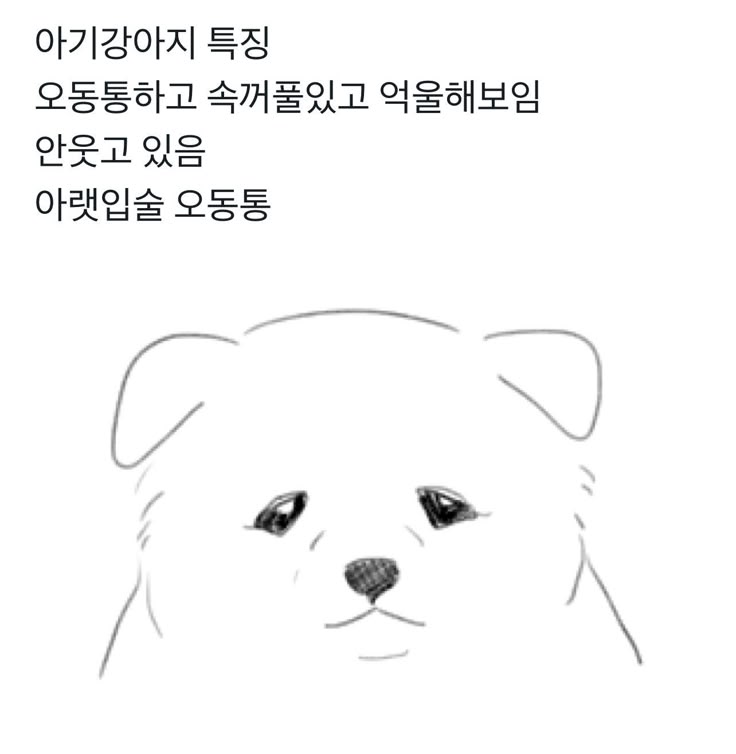 찰리찰리 tweet media