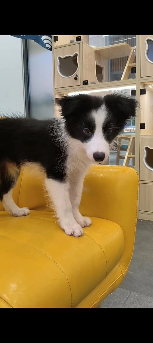 Angie hudson tweet media