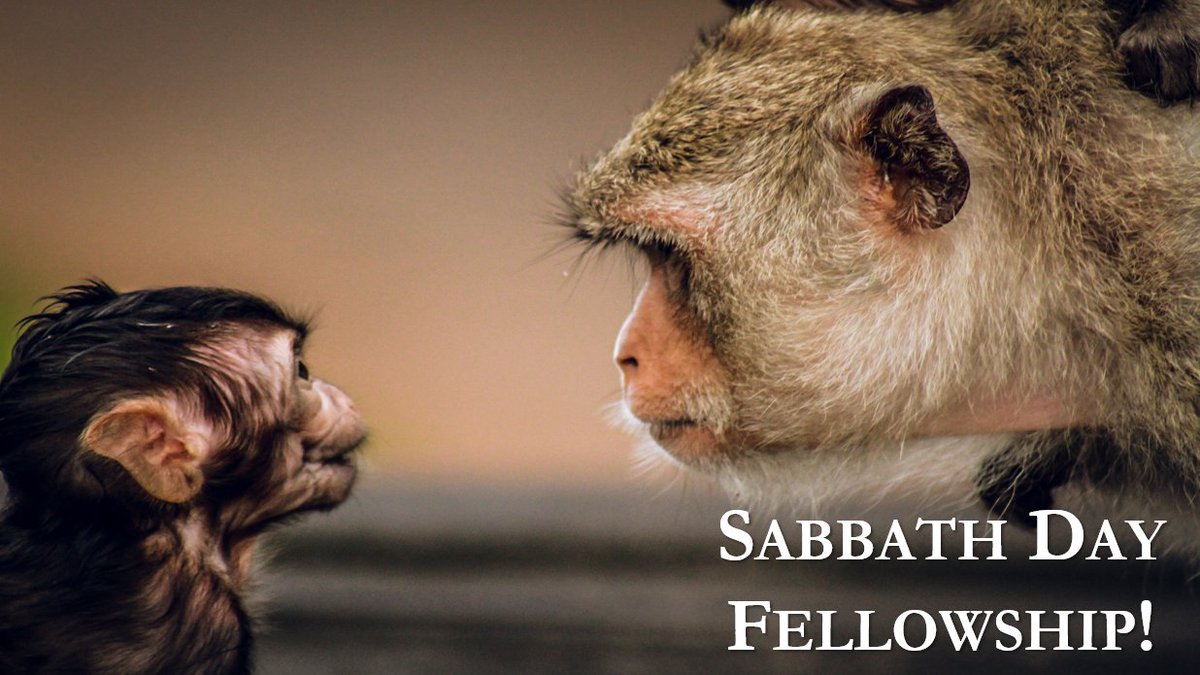 gaamadison's tweet photo. Happy Sabbath Day!

Today, we guard the sign between Father יהוה {YAHUAH} ALMIGHTY and His people!
*Exodus 31:12-14*
 
Join @gaamadison tomorrow (3.14.2026) for Sabbath Day service @ 12 pm CST! Message me for the Zoom link.

#HalleluYAH! #SabbathDay! #DayNumberSeven! https://t.co/1Vm8V13WJP