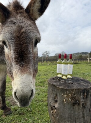 luxurylifestyle's tweet image. Nationally Recognized Donkey Rescue Launches Estate-Grown Organic Wine from Vineyard Unexpectedly luxurylifestyle.com/headlines/nati… #wine #wines #winery #vineyard
