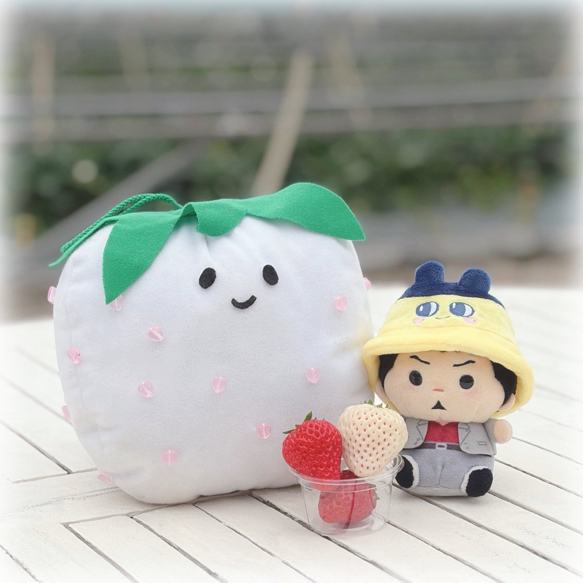 いちご狩り🍓🤍