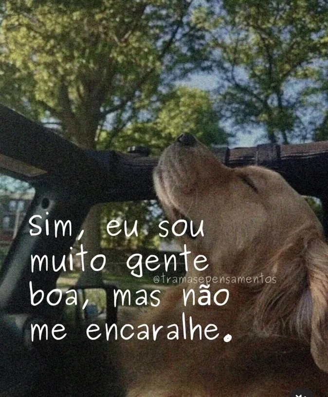 soudesabafosofc's tweet photo. https://t.co/w4fqN532Ez