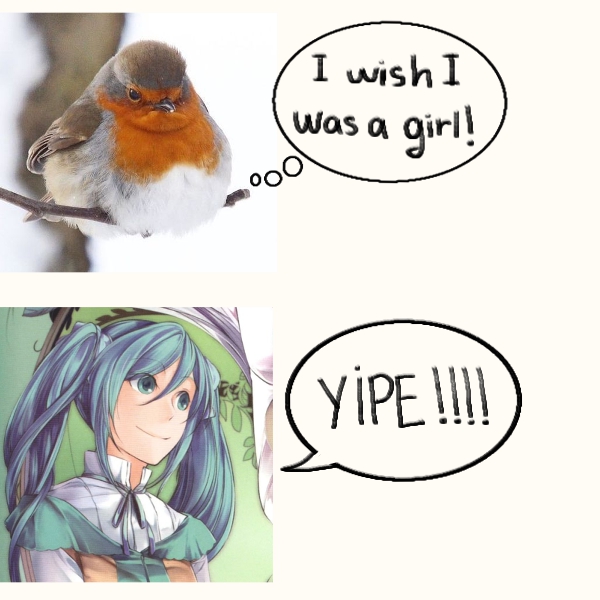 Bánh táo dai⭐️ tweet media