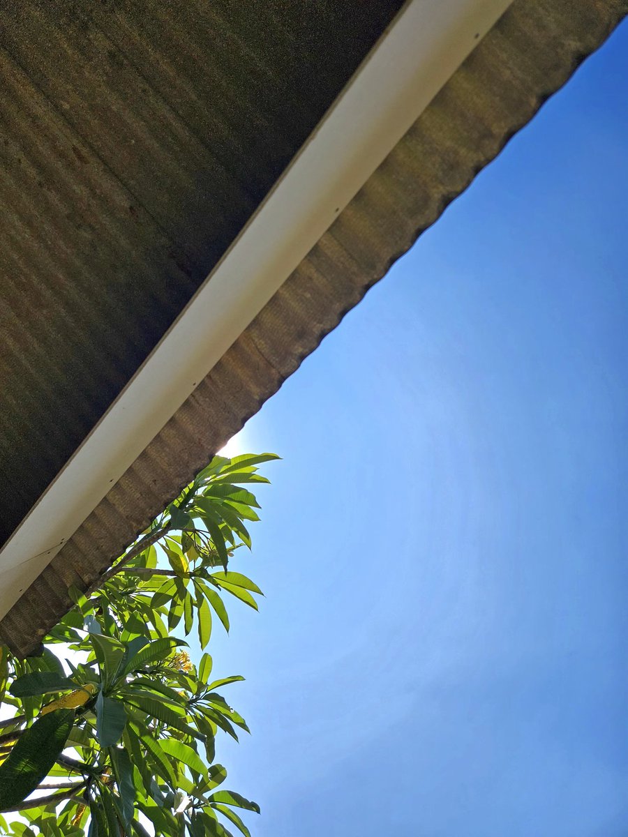 myto2016 tweet media