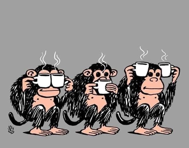 Irena Buzarewicz tweet media