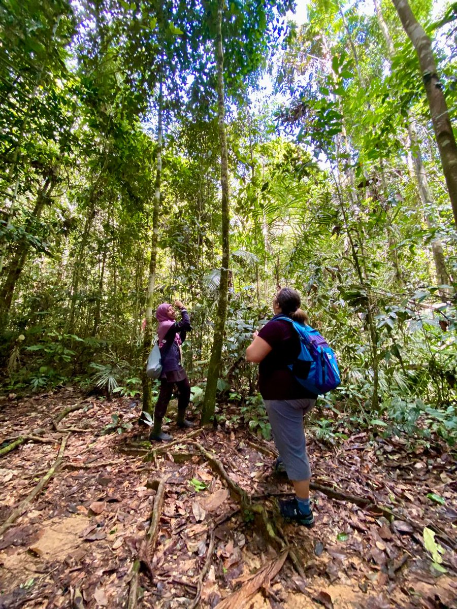 CanHCBrunei's tweet image. Both Canada and Brunei Darussalam are home to incredible biodiversity—from Canada’s vast forests to the pristine rainforest of Ulu Temburong National Park.

Protecting nature is a value we share.

#NatureConnects