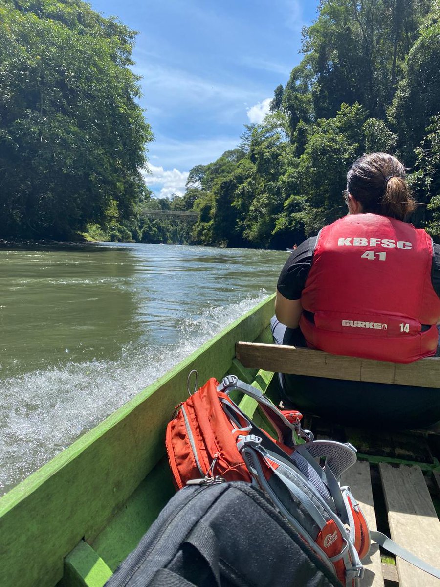 CanHCBrunei's tweet image. Both Canada and Brunei Darussalam are home to incredible biodiversity—from Canada’s vast forests to the pristine rainforest of Ulu Temburong National Park.

Protecting nature is a value we share.

#NatureConnects