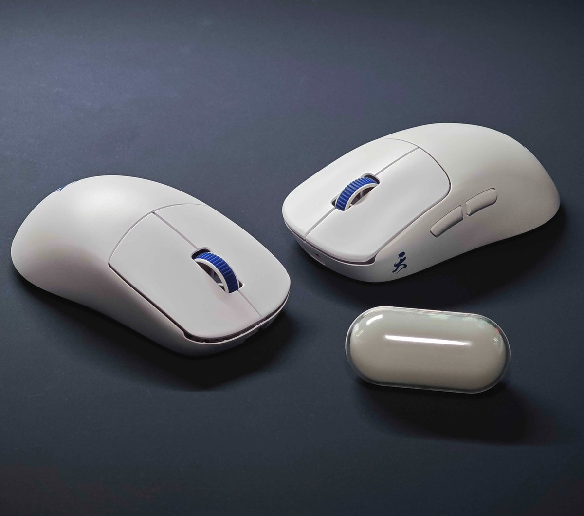 elastiXx | Peripheral tweet media