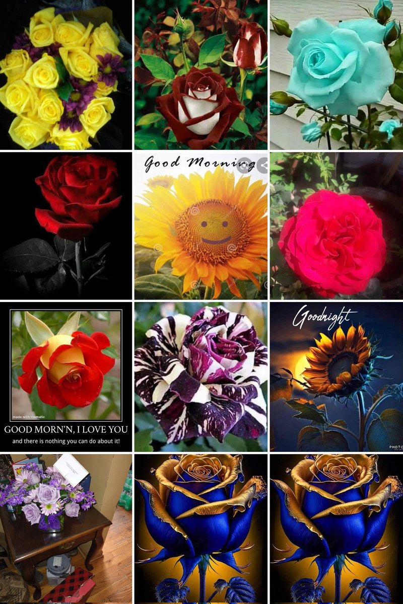 Delbert Thomas tweet media