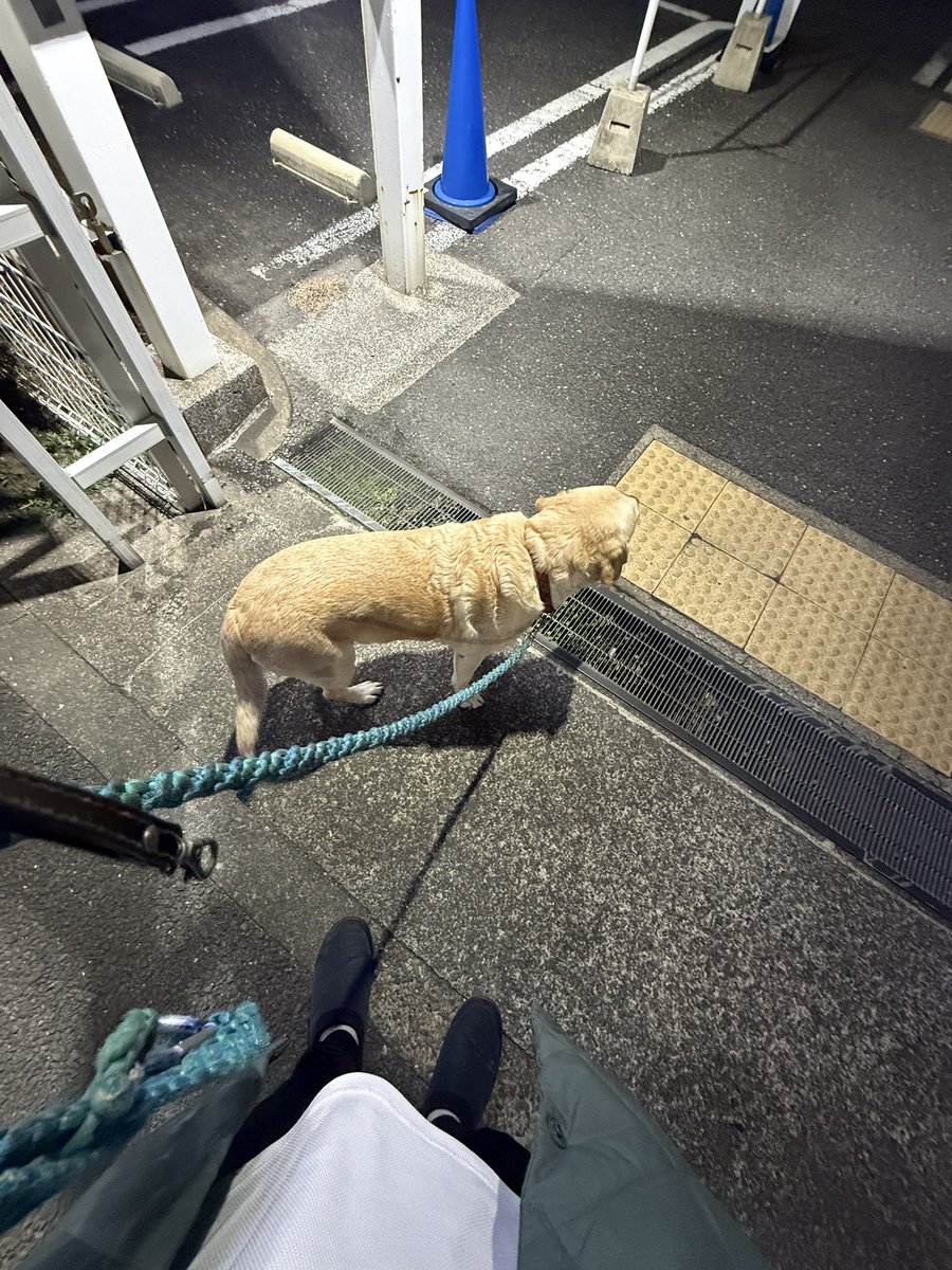 ジュピ tweet media